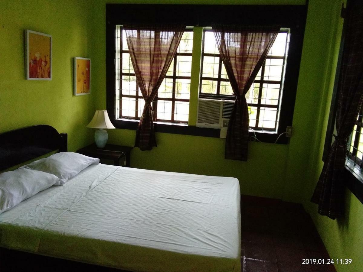 Mangrove Oriental Bed & Breakfast Resort マラパスクア島 エクステリア 写真