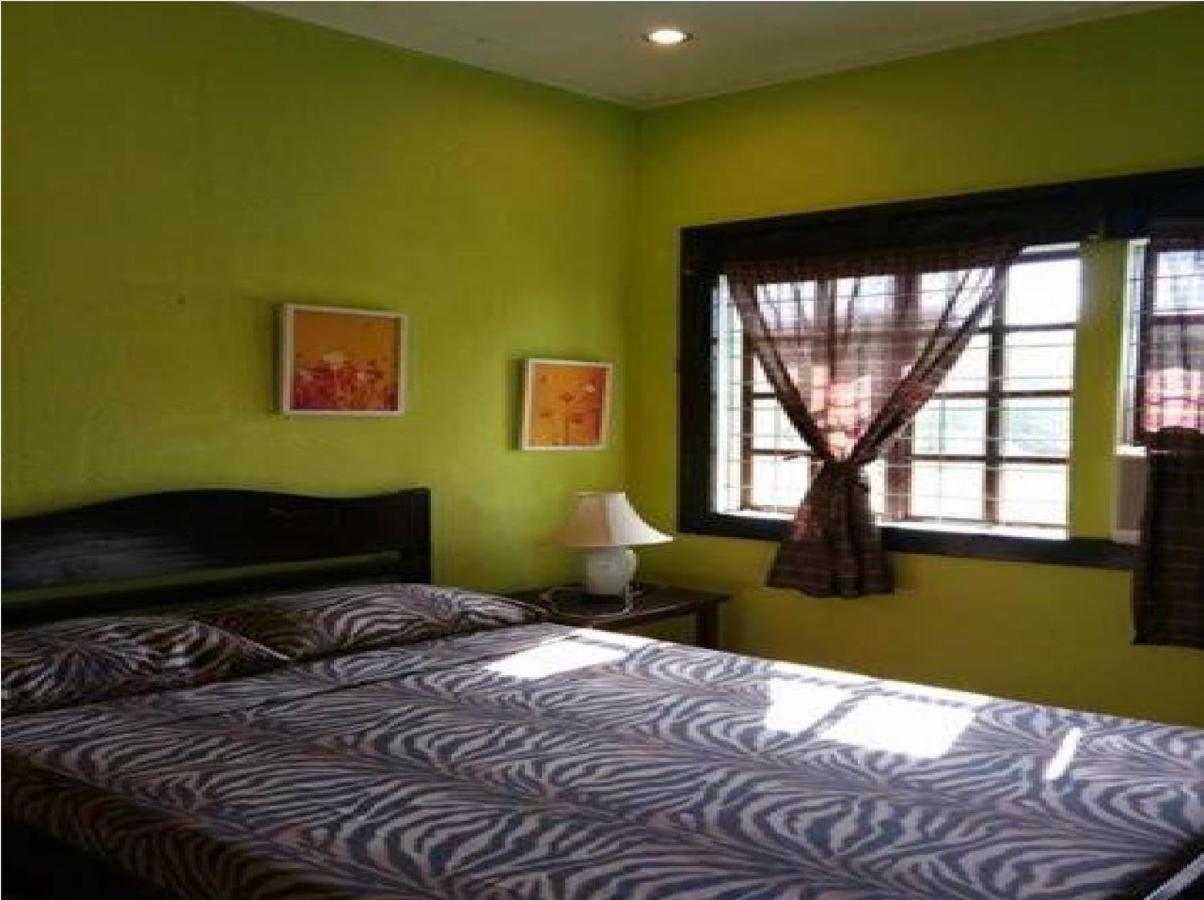 Mangrove Oriental Bed & Breakfast Resort マラパスクア島 エクステリア 写真